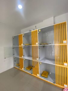 Pet Hotel Jakarta Timur: Nyaman & Aman hanya di Puppet Pet Care