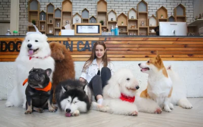 Pet Hotel: Solusi Aman & Nyaman Penitipan Hewan Peliharaan Anda anjing bahagia di pet hotel bersama pemilik