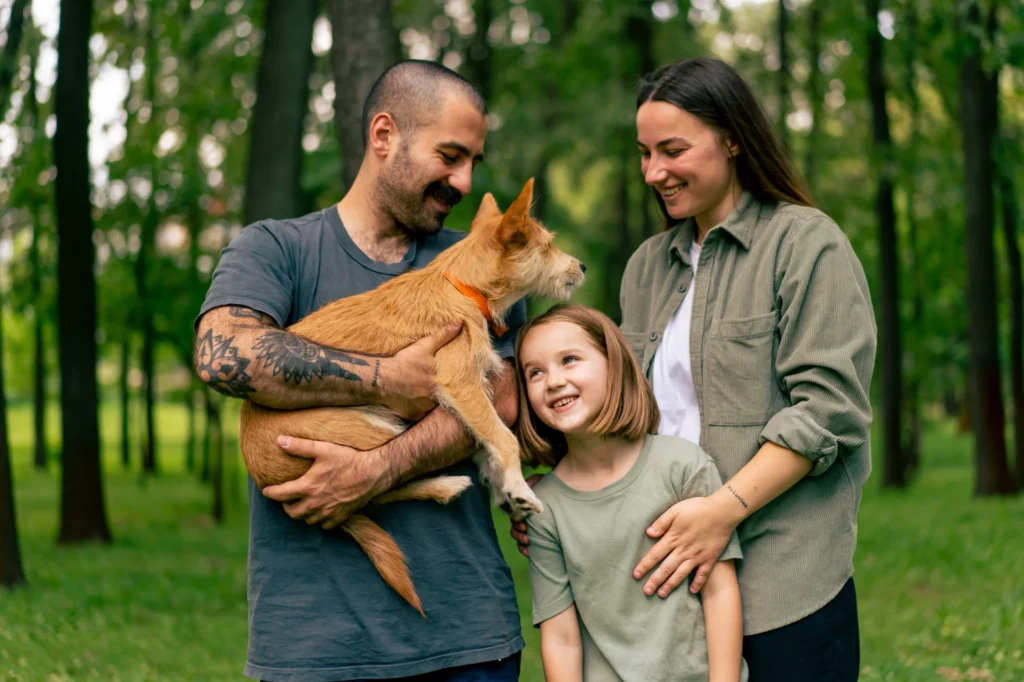 Panduan Lengkap Mengadopsi Anjing atau Kucing untuk Pemula
