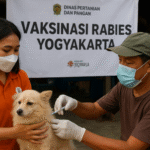 vaksin rabies gratis
