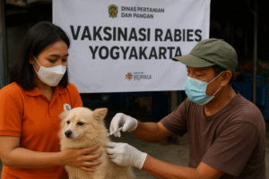 vaksin rabies gratis