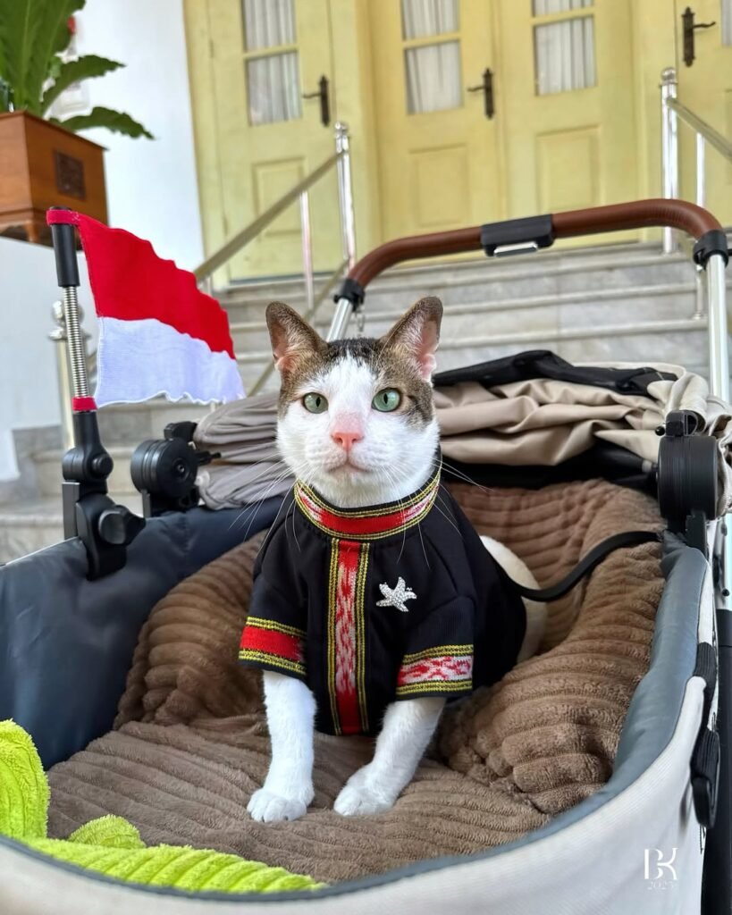 Bobby Kertanegara, Kucing Presiden Prabowo Tampil di HUT RI ke-80 dengan Tenun Tanimbar